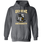 Genuine University Pullover Hoodie